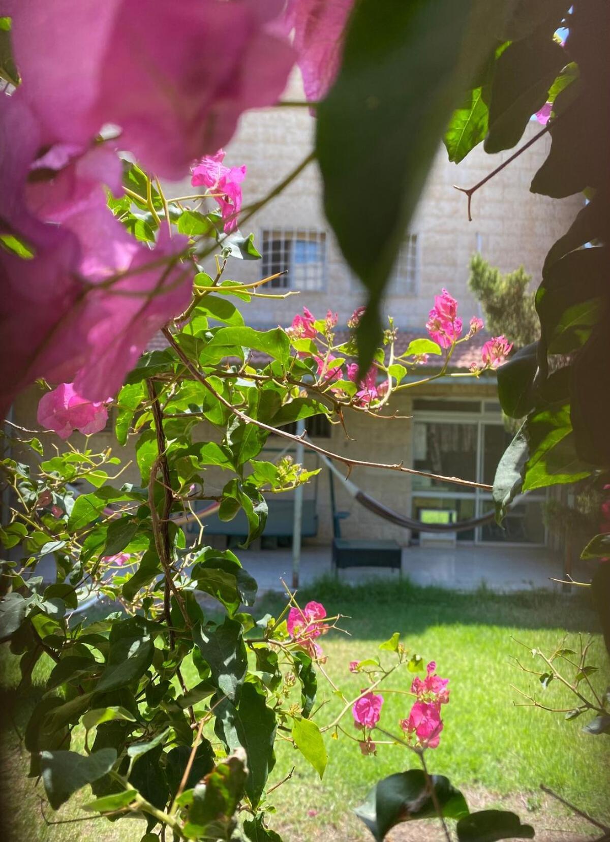 Ferienwohnung דירת גן מרווחת במיקום מעולה עם נטפליקס חינמי Ma'ale Adumim Exterior foto