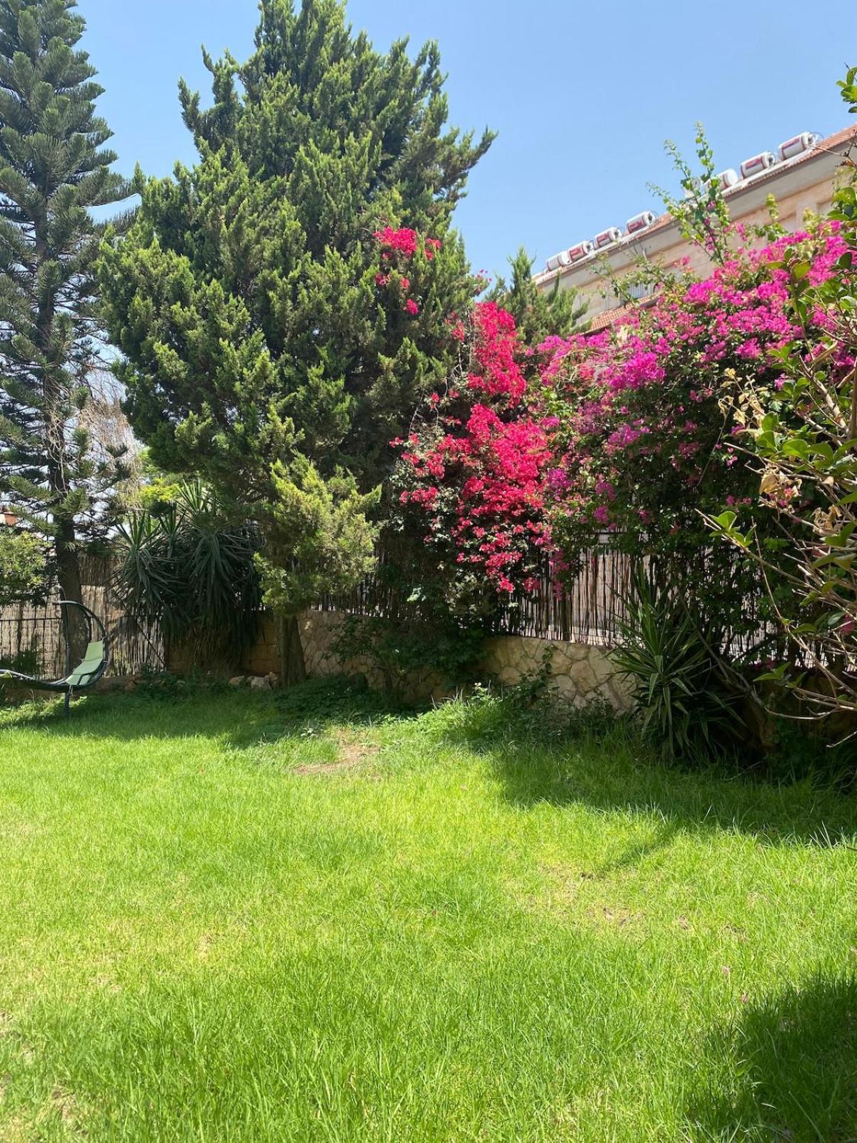 Ferienwohnung דירת גן מרווחת במיקום מעולה עם נטפליקס חינמי Ma'ale Adumim Exterior foto